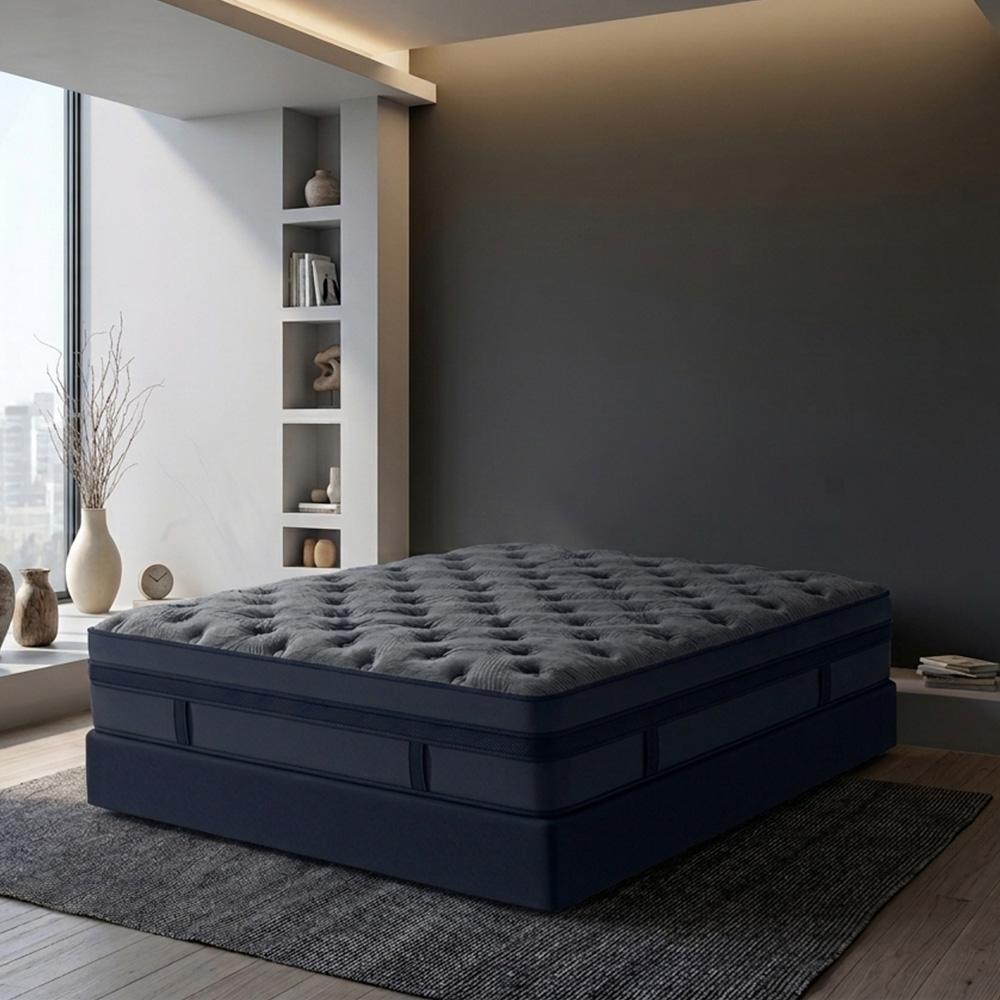 ZS8 Black - Eden Blue